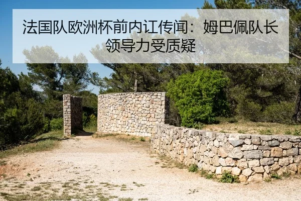 fa-guo-dui-ou-zhou-bei-qian-nei-hong-chuan-wen-mu-ba-pei-dui-zhang-ling-dao-li-shou-zhi-yi-2-264.jpg
