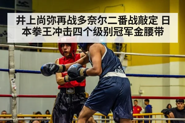 井上尚弥再战多奈尔二番战敲定 日本拳王冲击四个级别冠军金腰带