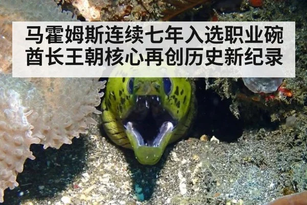马霍姆斯连续七年入选职业碗 酋长王朝核心再创历史新纪录
